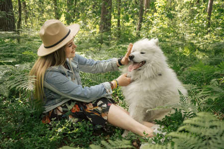Woman spanding time with her fluffy dog samoyedの写真素材