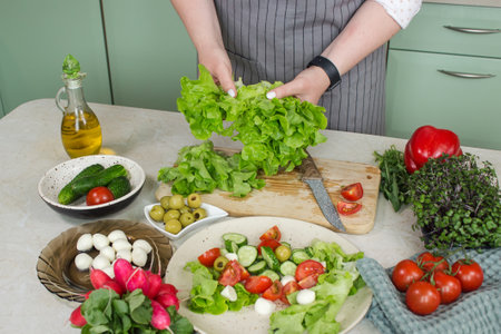 Preparing vegetable healthy food: lettuce salad with tomato and mozzarellaの写真素材