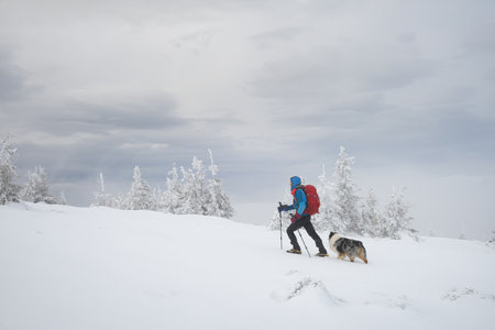 Man hiking with dog in beautiful winter mountainの写真素材