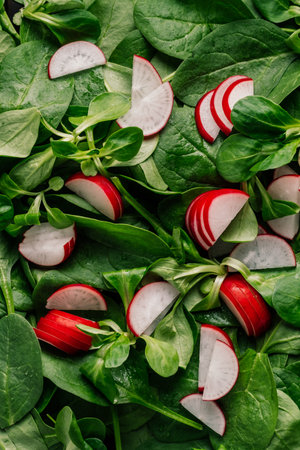 Greenery leaves and Salad Ingredients - Top Viewの写真素材