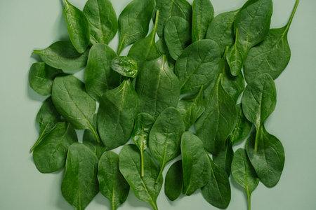 Top View of greenery spinach leaves
