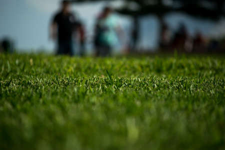 Beautiful gardenの写真素材