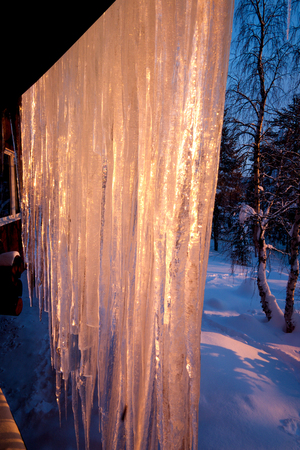 long iceicles hanging down over fur trees covered in snow, pink glow from the low sun, deep slow on the groundの写真素材