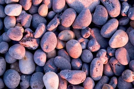 about 50 grey pebbles on beach at sunset, pink glow from the sunset on some of the pebbels, soft shadows, shape and form, overhead view point.の写真素材