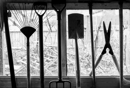 Garden tools hanging up in a shed, the tools are sillouetted by the shed window and view of garden behind, Garden spade, fork, shears etc black and white photographの写真素材