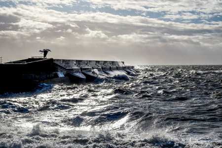 Dramatic stormy sea breaking against brighton marina black harbour wall, spray and waves high in the air, rough sea and a solitary seagull trying to stay in the air in the rough seas, a stormy sky in the distance, brighton, east sussex, ukの写真素材