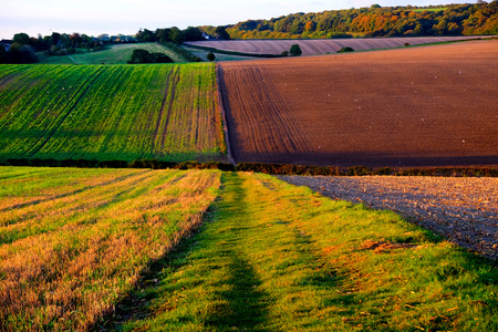 Sussex rolling hills, the light is low casting high lights and shadows on to of the hills, golden glow from the low sunの写真素材