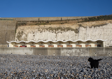 A Pebble beach with a black puppy playing and a concrete wall with a row of ten art deco style beach huts above the wall, the beach huts sit at the bottom of a chalk cliff, at the top of the cliff is clear blue sky, Ovingdean beach, Brighton, UK,の写真素材