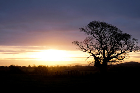 Tree in a field in the winter, silhouetted by the early morning sun rising over the South Downs National Park, the suning is shining directly through the centre of the treeの写真素材
