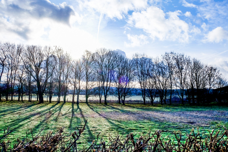 A line of  twenty trees in a field in the winter, silhouetted by the early morning sun rising over the South Downs National Park, casting long shadows on the green field infront, at the very bottom of the image is the top of a golden hedge, South Downs National Park, Glynde, East Sussex, United Kingdom, UK, England, English,の写真素材