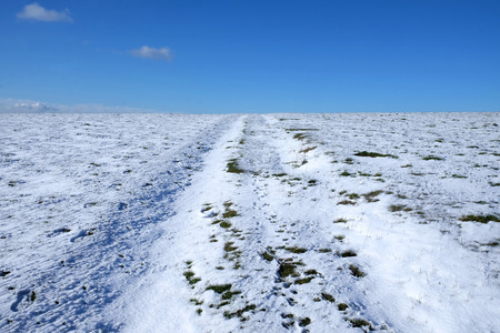 white snow covered flat land, above is a blue sky, popping up through the white snow are tuffs of green grass, the indent of a track runs up the middle of the image, Mount Caburn, Lewes, East Sussex, United Kingdom, UKの写真素材