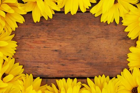 An oval shape of yellow Gerbera daisies layed next to each other to create an oval shape in the middle is a wooden rustic table top, copy space in the middle of the Ovalの写真素材