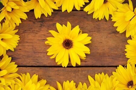 A circle of yellow Gerbera daisies layed next to eachother to create a circular shape on a rustic brown wooden table top, in the middle of the circle is a circular daisy flower head. の写真素材