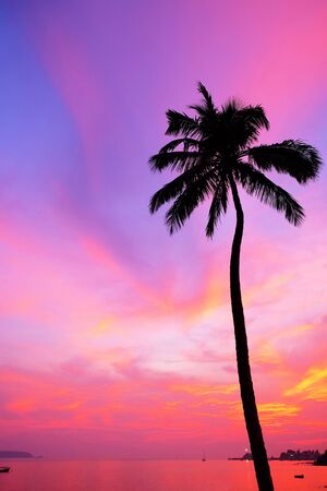 A vibrant red sky over a tropical bay with a calm sea and a silhouette palm tree, Red glow from the setting sun over Viaguinim Beach, Panaji, Goa, India, vertical formatの写真素材