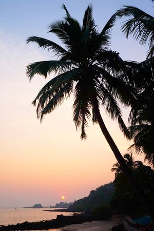 A tropical bay with a calm sea and palm trees, Red glow from the setting sun over Viaguinim Beach, Panaji, Goa, India, vertical formatの写真素材
