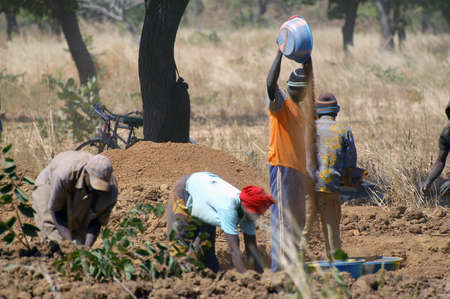 To the goldmine of Poura the gold diggers come from everywhere in the hope of finding a little gold...