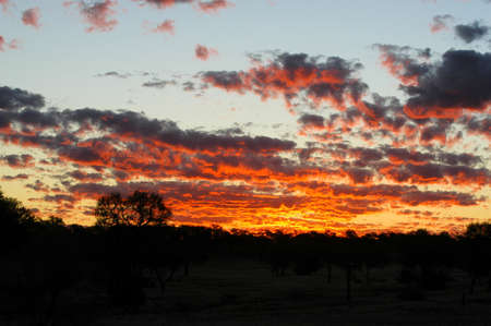 sunset in the Australian bushの写真素材