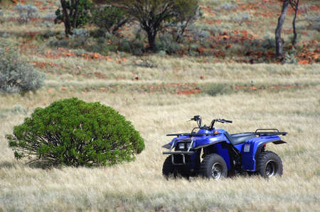 Gold bearing prospection in the Australian bush in quad to have a larger research area and to find the most beautiful gold nuggets.の写真素材