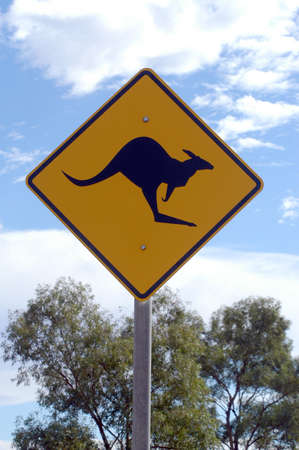 Danger kangarooの写真素材