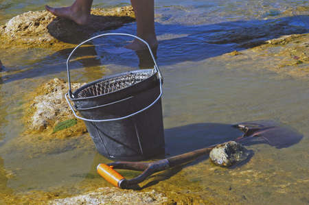 tools of the gold washer                                の写真素材