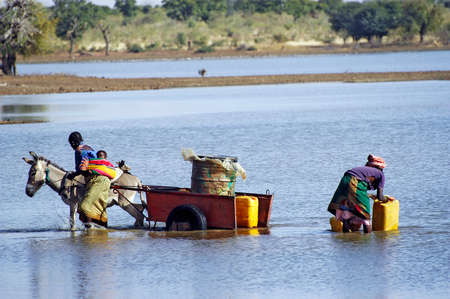 filling and transportation of water bottles at lake is for women to irrigate cropsのeditorial素材