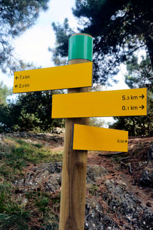 Signpost places and distance hiking trails in a French forest environment.の写真素材
