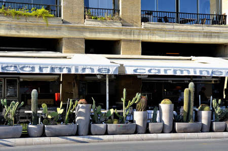 restaurant terrace with a potted cactus plant on the old port of Marseilleのeditorial素材