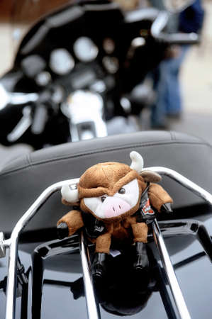 A stuffed pig hanging on the back of a motorcycle to a gathering of American motorcycles in Beaucaire in the French department of Gardのeditorial素材