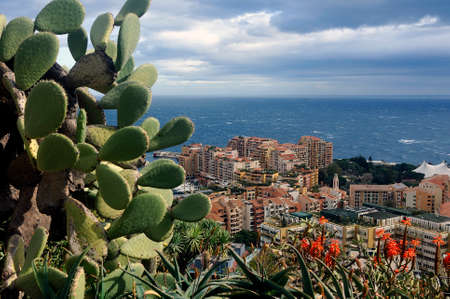 Aerial view of Monaco from the heights of the exotic garden with cactuses in the foregroundの写真素材