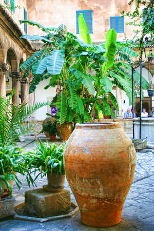 A large olive pot in the Cloisters in Palma Cathedral Majorca Spainのeditorial素材