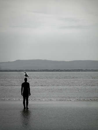 Seagull perched on the head of one of the statues of Anthony Gormley 'Another Place'のeditorial素材