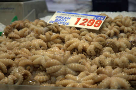 Fish Market, heaps of  octopusの写真素材