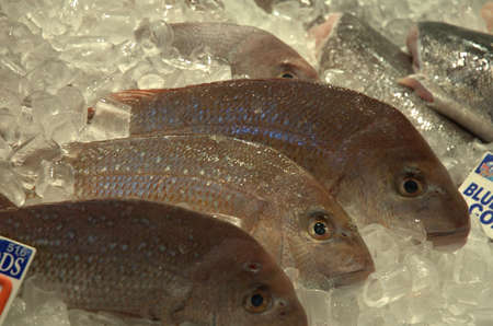 Fish Market, heaps of snapper fish on ice