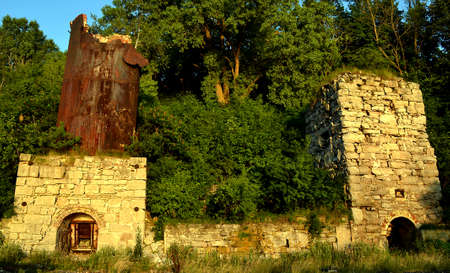 Nature's Reclamationの写真素材