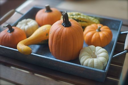 Tray of Decorative Pumpkins