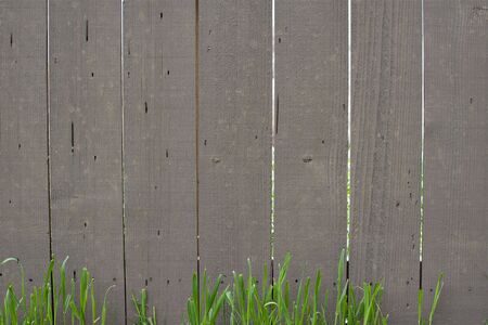 Wood Fence with Grass Backgroundの写真素材