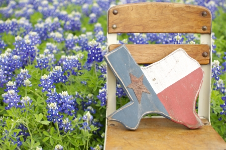 Bluebonnets and Texasの写真素材