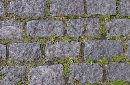Stone street with grass, difuse light
