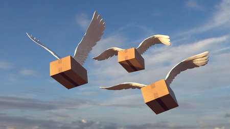 We send it to you everywhere. Package with wings.