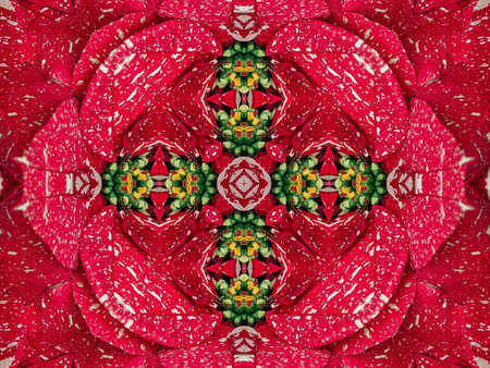 Red floral kaleidoscope background abstract unique and symmetric pattern for christmas vibesの写真素材