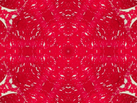 Red floral kaleidoscope background abstract unique and symmetric pattern for christmas vibes