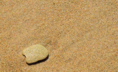 at the beach enjoy the freshnes, the bright sand , the oysters and thecwarm sunの写真素材