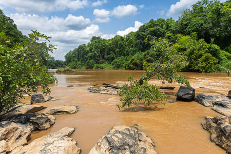 River in the national park in Thailand. Landscape with river.