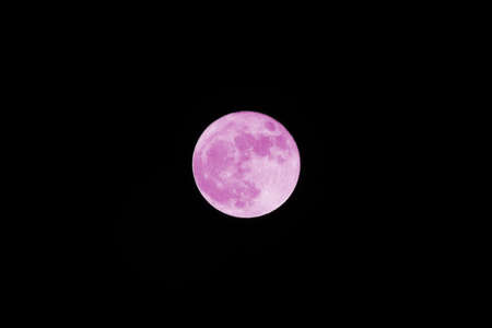 Bright and big pink full moonの写真素材