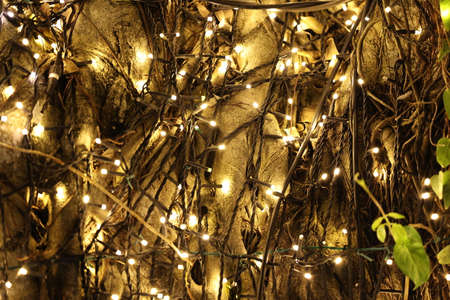 Large glittering large rajmal tree decoratedの写真素材