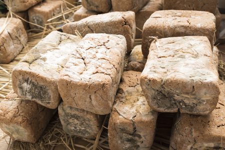 fermented soybean lump / block of fermented soybeans (Meju) / Korean fermented food Mejuの写真素材