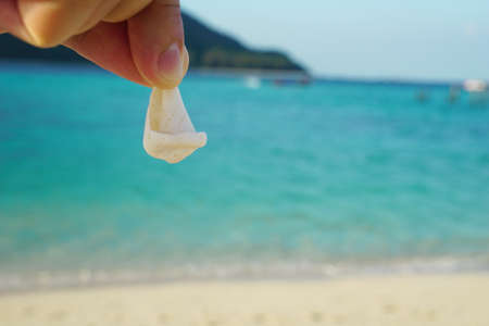 shell with sea backgroundの写真素材