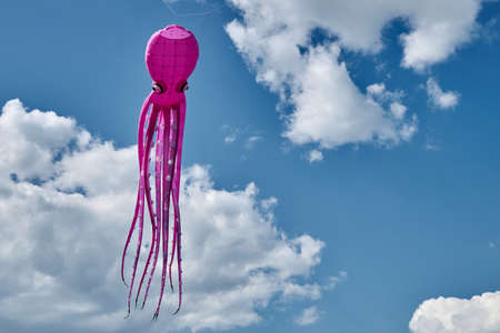 one kite in blue skyの写真素材