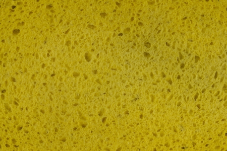 sponge textureの写真素材