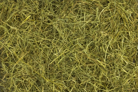 straw backgroundの写真素材